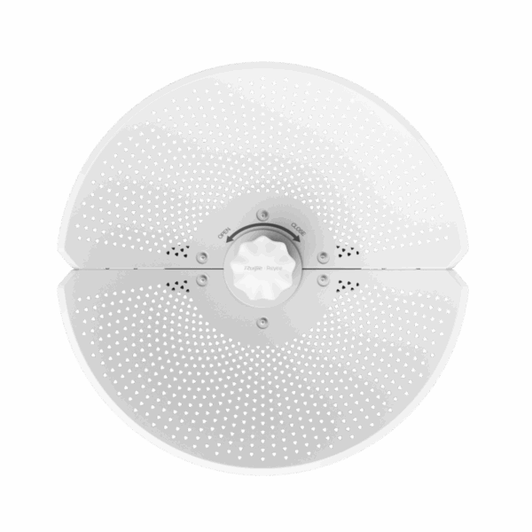 RG-AirMetro460F, CPE of RG-AirMetro Series Wireless Bridges